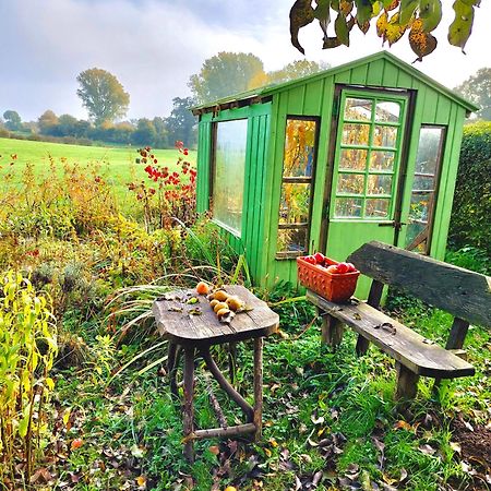 Gemuetliches Studio-Apartment In Ostseenaehe - Cosy Wulfi Probsteierhagen エクステリア 写真
