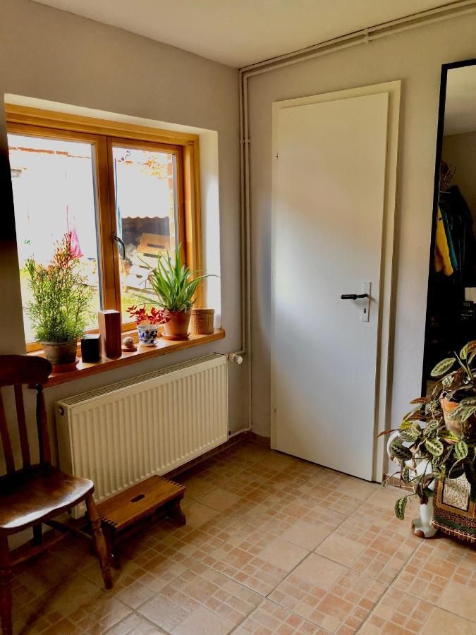 Gemuetliches Studio-Apartment In Ostseenaehe - Cosy Wulfi Probsteierhagen エクステリア 写真