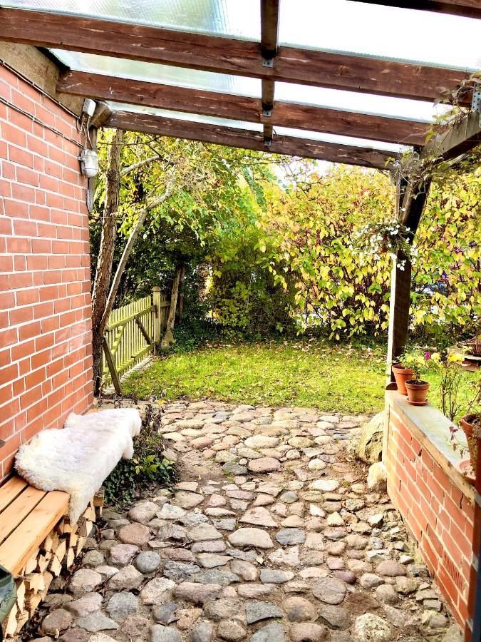 Gemuetliches Studio-Apartment In Ostseenaehe - Cosy Wulfi Probsteierhagen エクステリア 写真