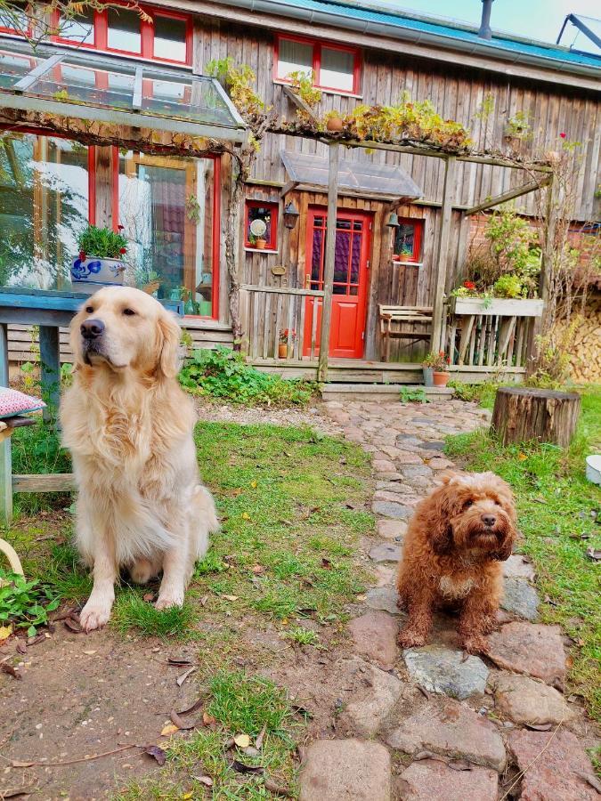 Gemuetliches Studio-Apartment In Ostseenaehe - Cosy Wulfi Probsteierhagen エクステリア 写真