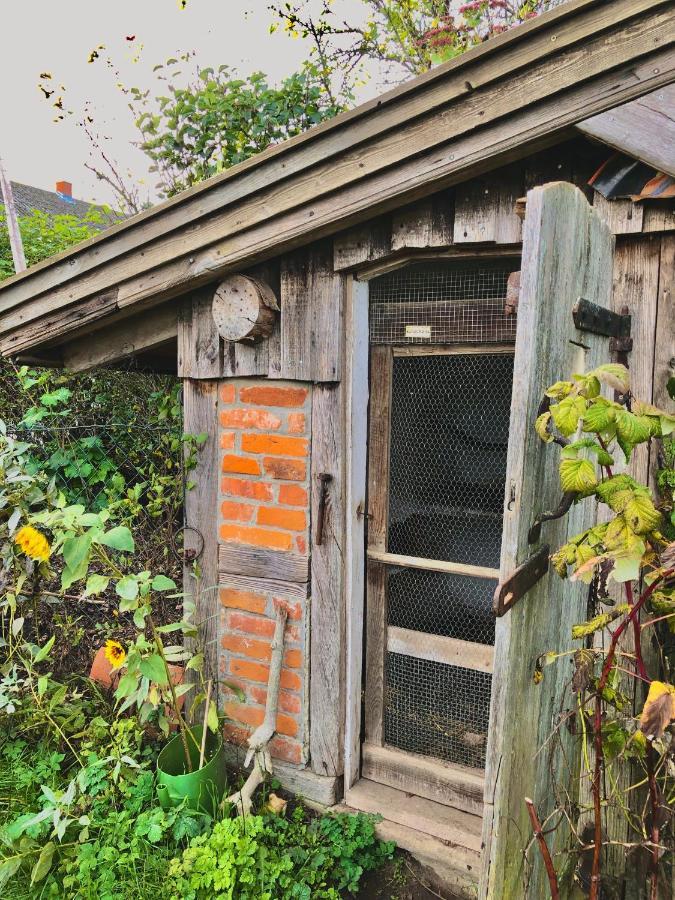 Gemuetliches Studio-Apartment In Ostseenaehe - Cosy Wulfi Probsteierhagen エクステリア 写真