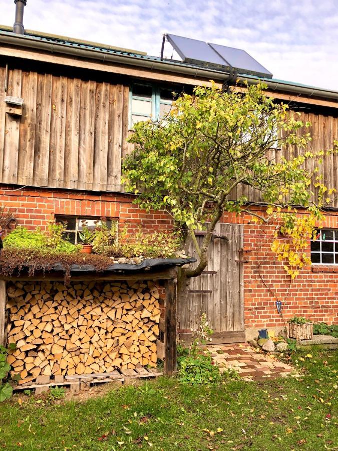 Gemuetliches Studio-Apartment In Ostseenaehe - Cosy Wulfi Probsteierhagen エクステリア 写真