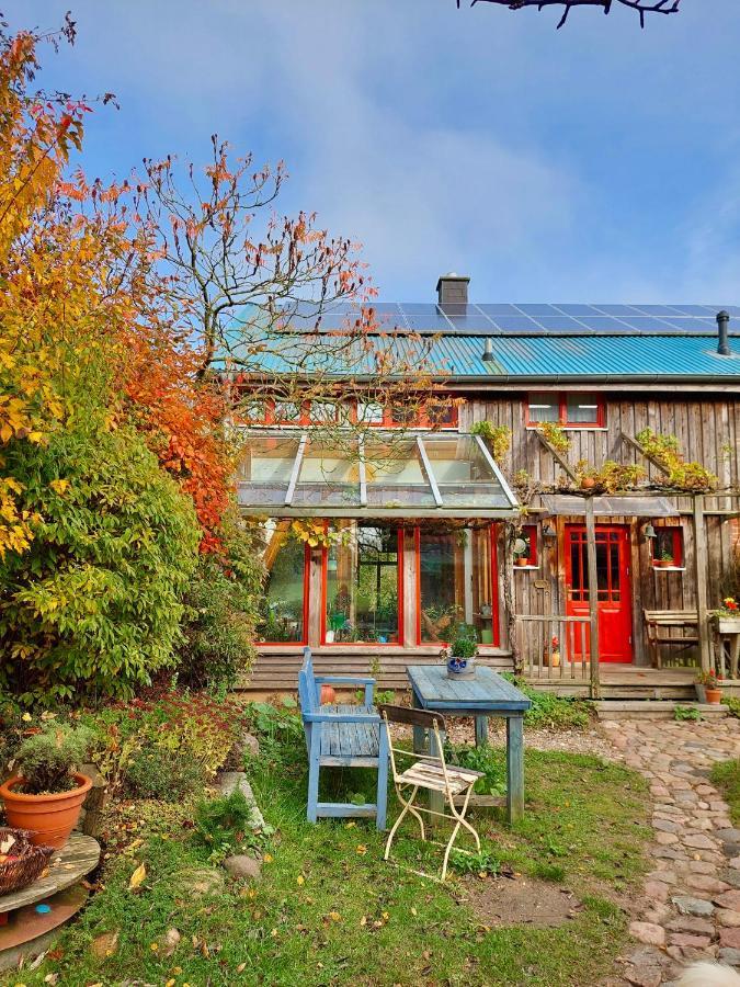 Gemuetliches Studio-Apartment In Ostseenaehe - Cosy Wulfi Probsteierhagen エクステリア 写真