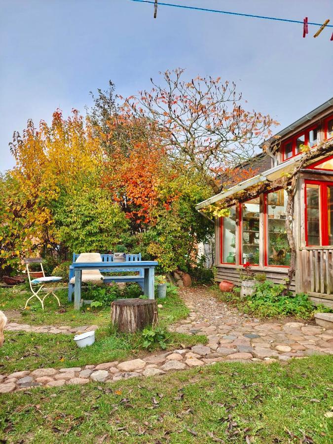 Gemuetliches Studio-Apartment In Ostseenaehe - Cosy Wulfi Probsteierhagen エクステリア 写真