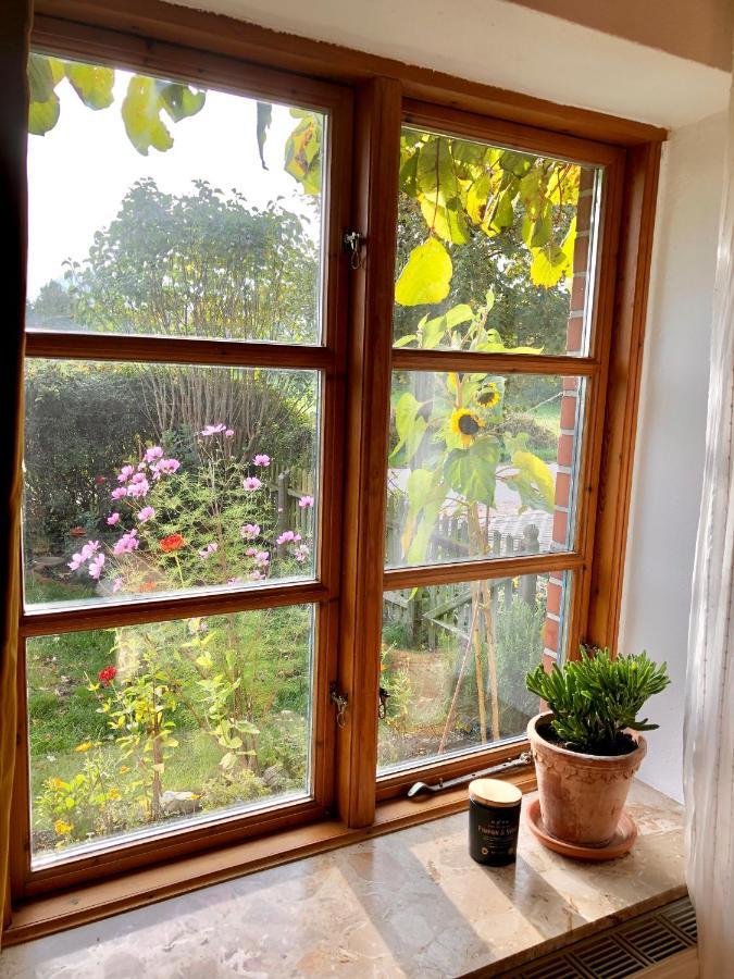 Gemuetliches Studio-Apartment In Ostseenaehe - Cosy Wulfi Probsteierhagen エクステリア 写真